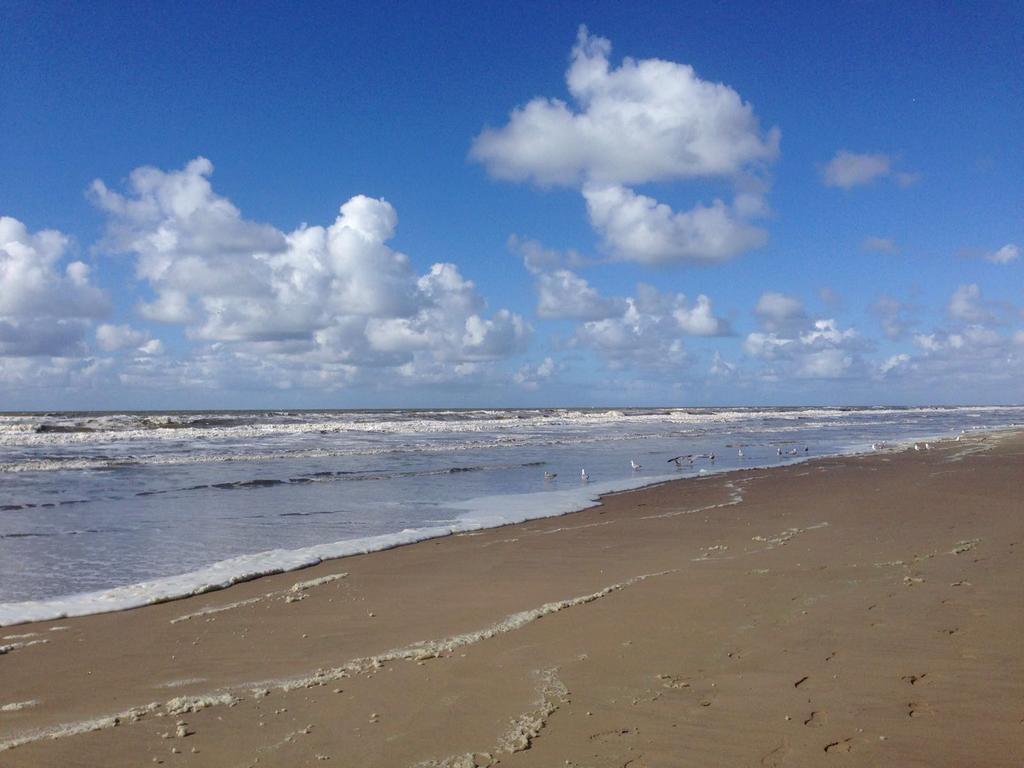 赞德沃特Berrie'S Sea View公寓 外观 照片