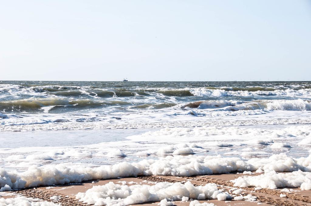 赞德沃特Berrie'S Sea View公寓 外观 照片